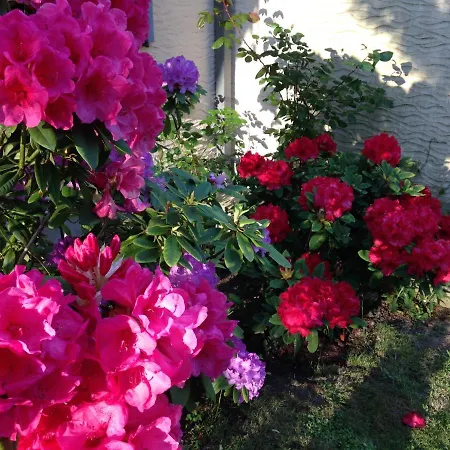 Nature Et 3* Audembert