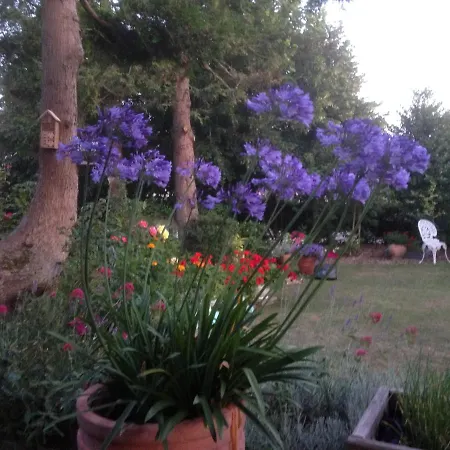 Nature Et Audembert