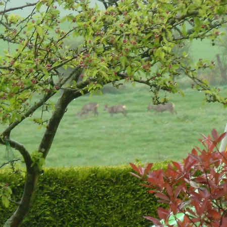 Bed & Breakfast Nature Et