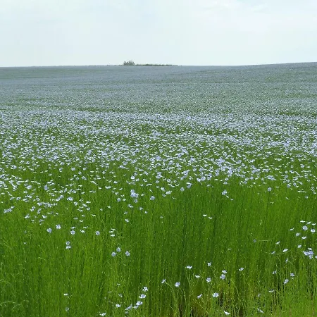Nature Et Bed & Breakfast 3*