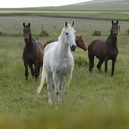 Bed & Breakfast Nature Et