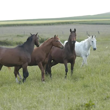 Bed & Breakfast Nature Et 3*