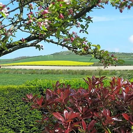 Nature Et 住宿加早餐酒店 Audembert
