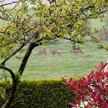 Nature Et Audembert