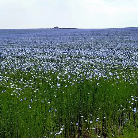 Nature Et 3*